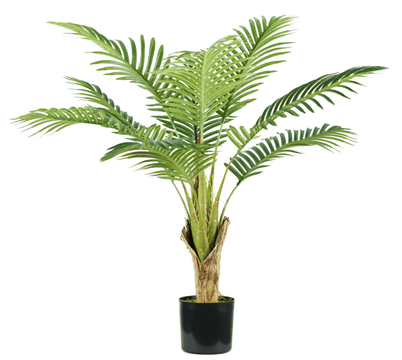 9 leaves Areca Palm plant height 90 cm